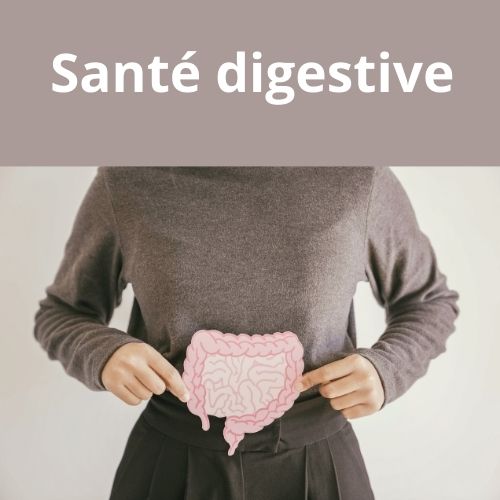 Les compléments alimentaires pour une bonne digestion